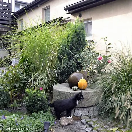 Pod Orzechem W Zaniemyslu * Zaniemyśl