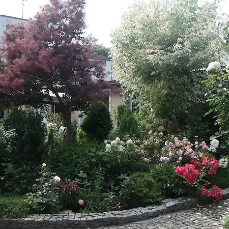 Pod Orzechem W Zaniemyslu Accommodatie bij particulieren