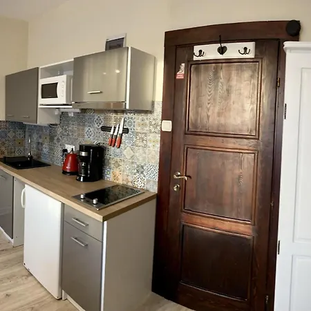 Pod Orzechem W Zaniemyslu Accommodatie bij particulieren Zaniemyśl
