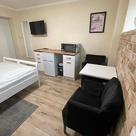 Pod Orzechem W Zaniemyslu 民宿