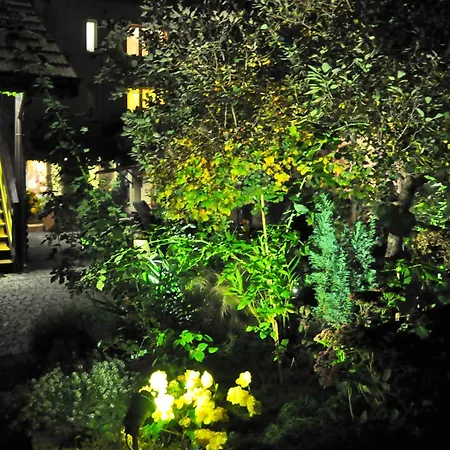 民宿 Pod Orzechem W Zaniemyslu *