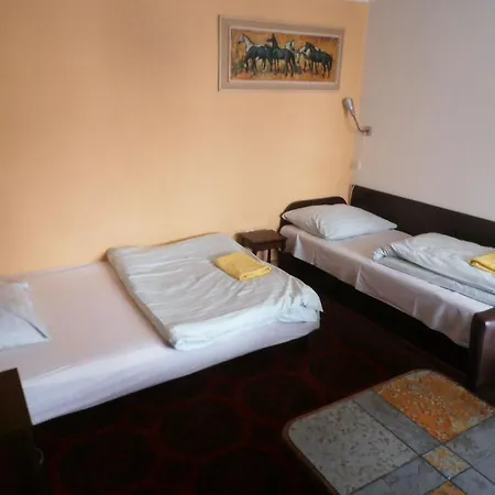 Pod Orzechem W Zaniemyslu 民宿 Zaniemyśl