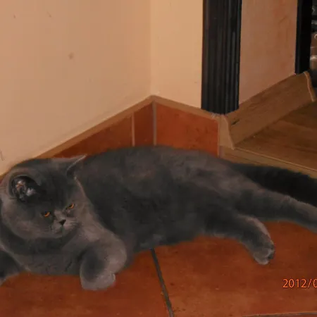 Pod Orzechem W Zaniemyslu 民宿 *