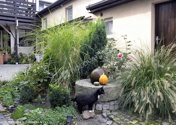 Pod Orzechem W Zaniemyslu * Zaniemyśl