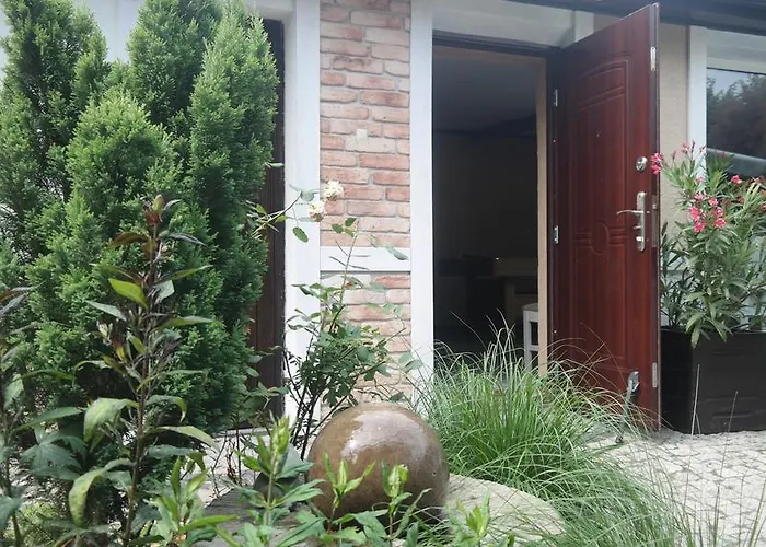 Pod Orzechem W Zaniemyslu Zaniemysl