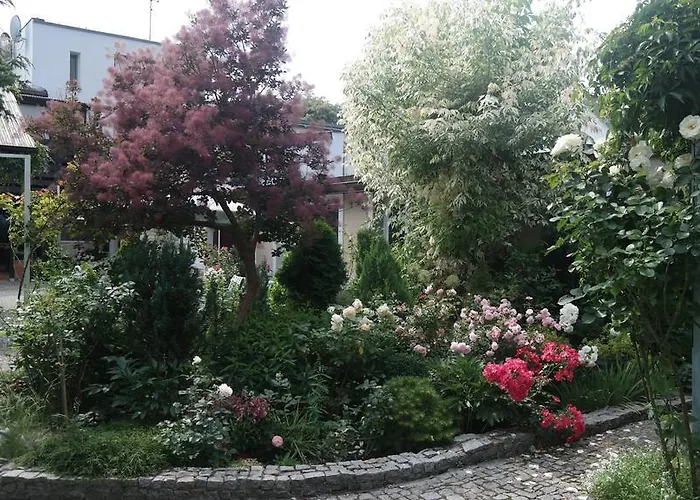 Pod Orzechem W Zaniemyslu Accommodatie bij particulieren