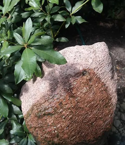 Homestay Pod Orzechem W Zaniemyslu Zaniemysl