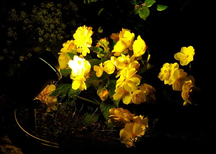 Homestay Pod Orzechem W Zaniemyslu