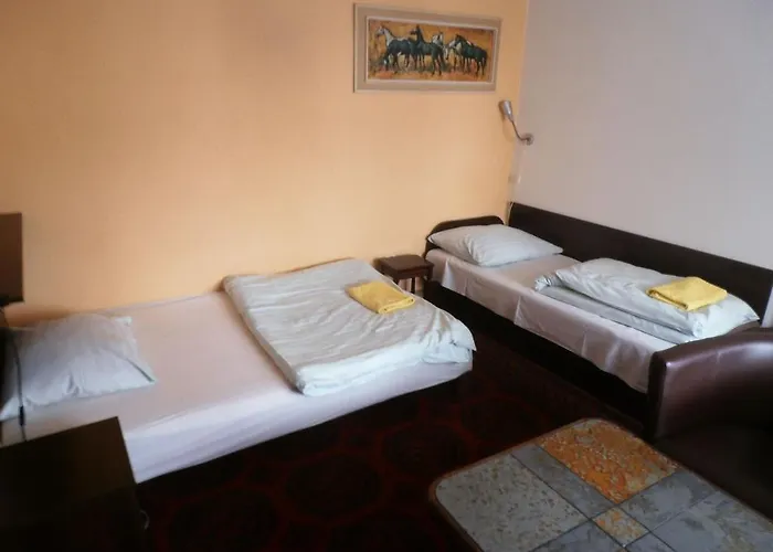 Pod Orzechem W Zaniemyslu Accommodatie bij particulieren Zaniemyśl