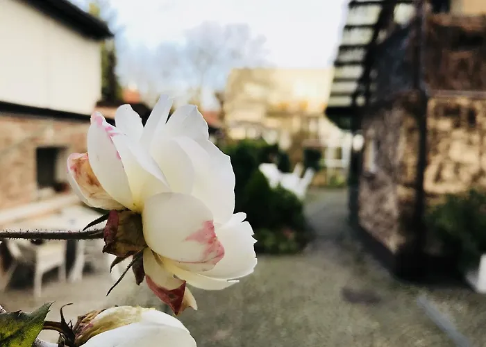 Accommodatie bij particulieren Pod Orzechem W Zaniemyslu Zaniemyśl