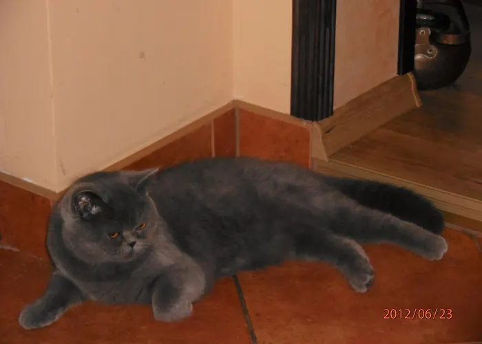 Pod Orzechem W Zaniemyslu Accommodatie bij particulieren *